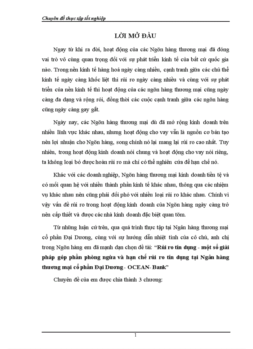 Rủi ro tín dụng một số giải pháp góp phần phòng ngừa và hạn chế rủi ro tín dụng tại Ngân hàng thương mại cổ phần Đại Dương OCEAN Bank