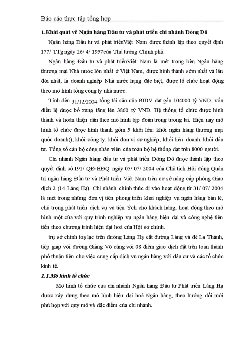 Báo cáo tổng hợp về Ngân hàng Đầu tư và phát triểnViệt Nam