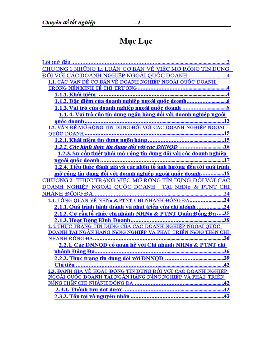 Giải pháp mở rộng tín dụng với doanh nghiệp ngoài quốc doanh tại Ngân hàng No PTNT chi nhánh Đống Đa 1