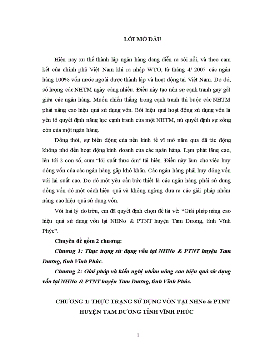 Giải pháp nâng cao hiệu quả sử dụng vốn tại NHNo PTNT huyện Tam Dương tỉnh Vĩnh Phúc 1