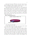 Theoretical framework and literature review