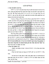 Thực trạng tín dụng ngân hàng đối với DNNVV tại chi nhánh NHNo PTNT thành phố Bắc Ninh tỉnh Bắc Ninh