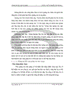 Thực trạng về hoạt động kinh doanh và hoạt động quảng cáo trên mạng của công ty TNHH Tư Vấn Marketing Việt Nam