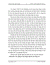 Thực trạng về hoạt động kinh doanh và hoạt động quảng cáo trên mạng của công ty TNHH Tư Vấn Marketing Việt Nam
