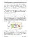 Mô hình ứng dụng đảm bảo QoS IP