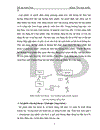 Lớp phiên session layer