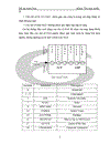 Lớp phiên session layer