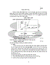 Mạng nơron nhân tạo Neural network và chuỗi thời gian