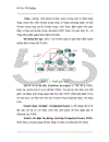 Thiết kế và cấu hình mạng thông tin sử dụng giao thức định tuyến OSPF