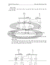 Thiết kế môn học Nhà máy điện Trạm biến áp 1
