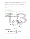 Phân tích động học Robot song song RPS