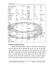 Tổng đài điện tử SPC