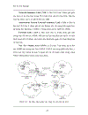 Thiết kế và cấu hình mạng thông tin sử dụng giao thức định tuyến OSPF