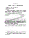 Vấn đề lý luận chung về ký kết thực hiện hợp đồng kinh tế và thực tế áp dụng tại chi nhánh công ty Thái Bình Dương