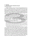 Đăng kí bảo hộ nhãn hiệu nước ngoài tại Việt Nam Một số vấn đề lí luận và thực tiễn