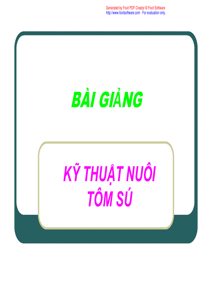 Bài giảng Kỹ thuật nuôi tôm sú thâm canh