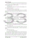 Phát triển hoạt động cho vay tiêu dùng tại ngân hàng Thương mại cổ phần Sài Gòn Thương tín (sacombank)