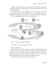 Tổng Quan Về Voip