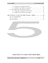 Vi ba số DM 2G -1000