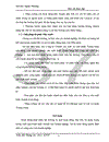 Một số biện pháp nhằm mở rộng thị trường xuất khẩu thủ công mỹ nghệ của Công ty TNHH sản xuất và xuất khẩu Trung Nam