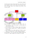 The branding process of vtv6 channel