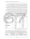 Chuyển dịch cơ cấu kinh tế nông thôn ở huyện Gia Lâm ------------------ ỉ Chuyển dịch cơ cấu kinh tế Nông thôn Huyện Gia Lâm ì