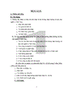 Vai trò kinh tế Nhà nước trong nền kinh tế thị trường định hướng xã hội chủ nghĩa ở Việt Nam