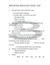 Thực trạng và những thành công ban đầu trong việc thúc đẩy tiêu thụ sản phẩm của công ty TNHH MAI CƯƠNG