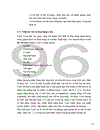 Ứng dụng laser Nd:YAG trong y tế