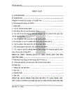 Vai trò quản lý nhà nước đối với sự hình thành và phát triển thị trường BĐS ở việt nam.