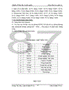 Một số giải pháp nhằm xây dựng và phát triển thương hiệu của Công ty Cổ phần may Thăng Long trên thị trường nội địa