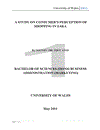 Astudy on consumers' perception of shopping in Zara
