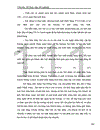 Một số giải pháp phát triển ngành Tiểu thủ công nghiệp tỉnh Thái Bình giai đoạn 2006-2010