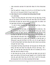 Một số giải pháp kiến nghị nhằm mở rộng và hoàn thiện hoạt động TTKDTM tại NHNo Bắc Hà Nội