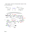 Trên cơ sở phân tích toàn bộ quá trình thoái hóa và tổng hợp các acid nucleic cũng như các nucleotid hãy tìm các nguyên nhân có thể gây ra bệnh Gout và đưa ra giải pháp để phòng và điều trị căn bệnh này.