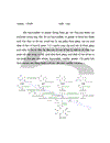 Trên cơ sở phân tích toàn bộ quá trình thoái hóa và tổng hợp các acid nucleic cũng như các nucleotid hãy tìm các nguyên nhân có thể gây ra bệnh Gout và đưa ra giải pháp để phòng và điều trị căn bệnh này.