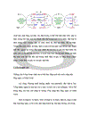 Trên cơ sở phân tích toàn bộ quá trình thoái hóa và tổng hợp các acid nucleic cũng như các nucleotid hãy tìm các nguyên nhân có thể gây ra bệnh Gout và đưa ra giải pháp để phòng và điều trị căn bệnh này.