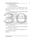 Một số giải pháp nâng cao hiệu quả sử dụng vốn lưu động tại Công ty cổ phần Nguyên Hoàng