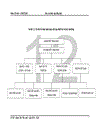 Tổ chức kế toán các phần hành cụ thể tại công ty cổ phần lilama 10 - nhà máy cttb & kct