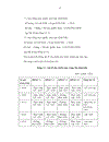 Thực trạng triển khai và phát triển nghiệp vụ quyền chọn tiền tệ tại các Ngân hàng thương mại Việt Nam