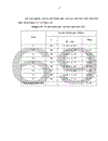 Nghiên cứu một số chỉ số thể lực trí tuệ của học sinh trường tiểu học và trung học cơ sở xã Nam Phong thành phố Nam Định