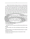 Một số giải pháp đẩy mạnh tiêu thụ sản phẩm tại thị trường nội địa của Công ty Cổ phần may Chiến Thắng