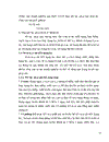 Kế toán tiêu thụ và xác định kết quả kinh doanh tại Công ty Vật tư Nông Lâm nghiệp Thuỷ lợi Thái Nguyên 1