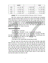 thực trạng và giải pháp nhằm nâng cao hiệu quả quy trình sản xuất và xuất khẩu tại công ty sản xuất và xuất khẩu prosimex