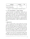 Đầu tư phát triển theo hình thức B O T trong nước tại Tổng công ty xây dựng Sông Đà thực trạng và giải pháp