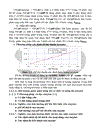 Tuyển chọn chủng Bacillus từ rừng ngập mặn sinh mạnh protease kiềm và bước đầu định hướng ứng dụng 1