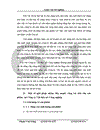 Một số biện pháp nhằm đẩy mạnh hoạt động tiêu thụ sản phẩm tại Công ty Vật liệu nổ Công nghiệp 1