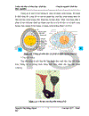 Thử nghiệm chuyển gen GFP trên gà Gallus Gallus Domesticus sử dụng vector pT2 BH CVpf SB11 bằng phương pháp chuyển gen qua tinh trùng và vi tiêm vào phôi gà 0 giờ ấp 1