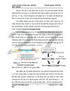 Thử nghiệm chuyển gen GFP trên gà Gallus Gallus Domesticus sử dụng vector pT2 BH CVpf SB11 bằng phương pháp chuyển gen qua tinh trùng và vi tiêm vào phôi gà 0 giờ ấp 1