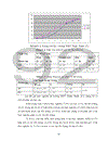 Xây dựng CD Rom tư liệu phục vụ giảng dạy sinh học THPT